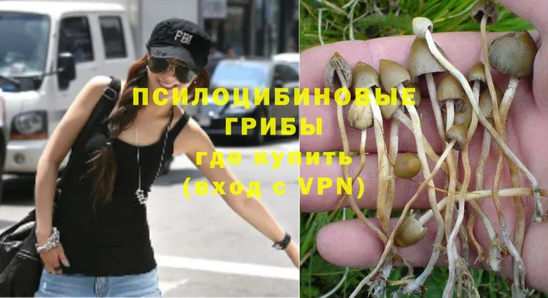 Галлюциногенные грибы Magic Shrooms Мензелинск