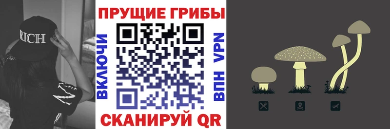 цена наркотик  omg как зайти  Галлюциногенные грибы Magic Shrooms  Мензелинск 